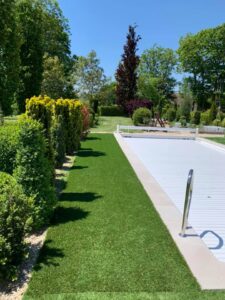 Tonte jardin et haies