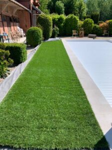 Tonte jardin et buissons